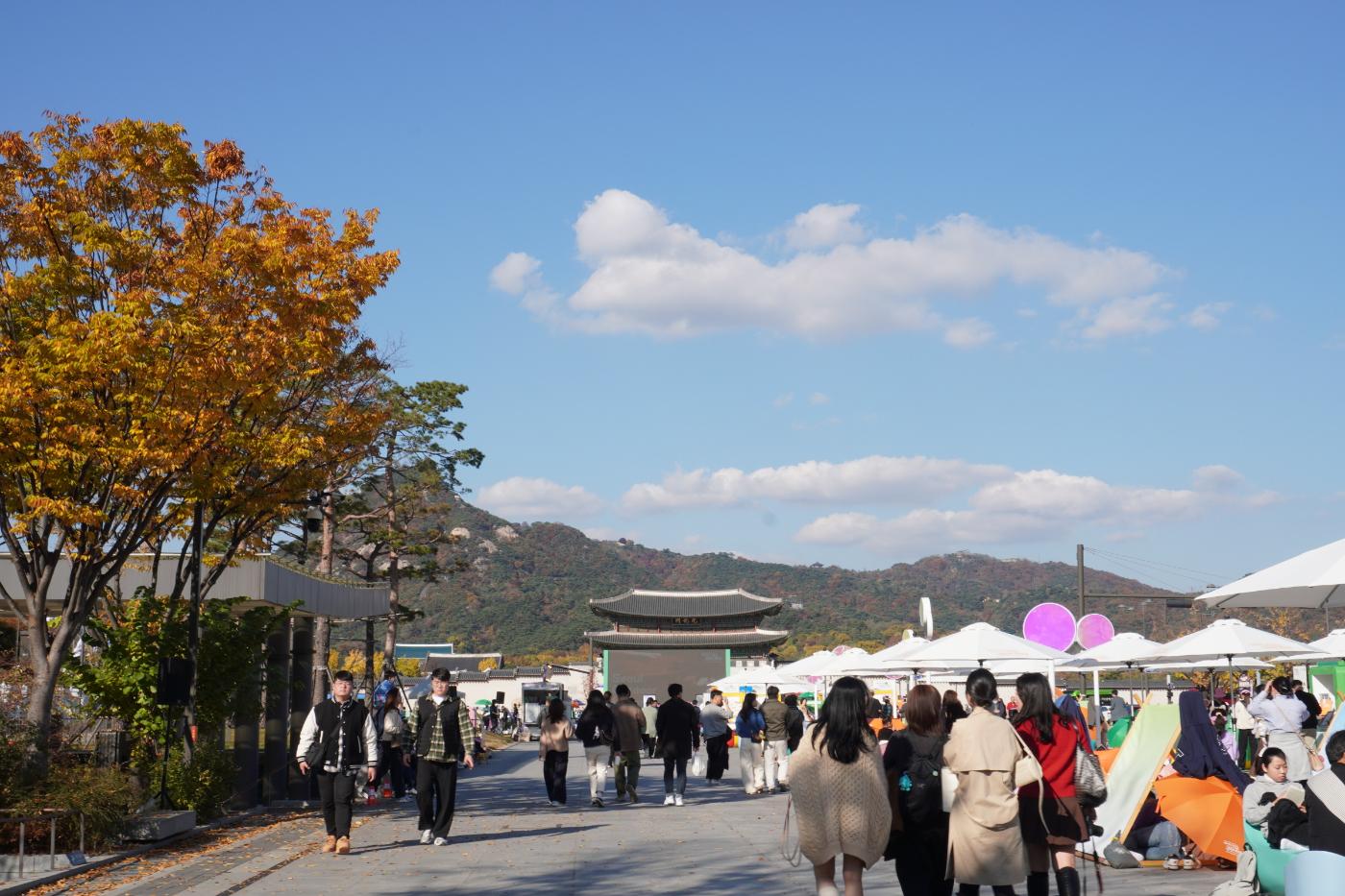 [크기변환]가도 (11).JPG